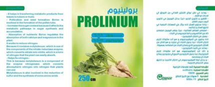 البرولينيوم